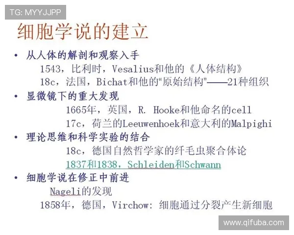 足球黄金补给时:蛋白粉摄入的赛场时间生物学 足球黄金补给时:蛋白粉摄入的赛场时间生物学