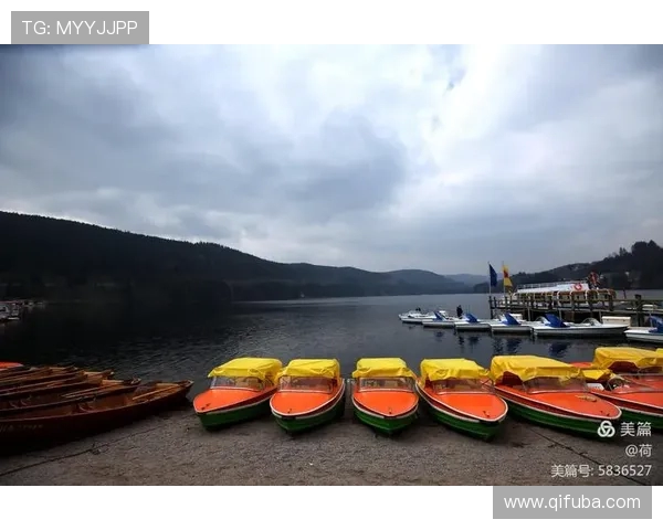 黑森林秘境:弗赖堡俱乐部徽章中的三重象征意义与文化解读